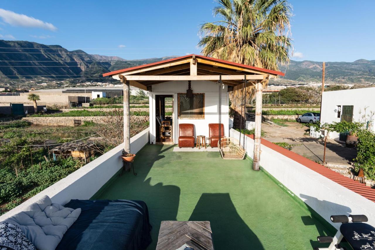 Conejos Gospodarstwo agroturystyczne Santa Cruz de Tenerife